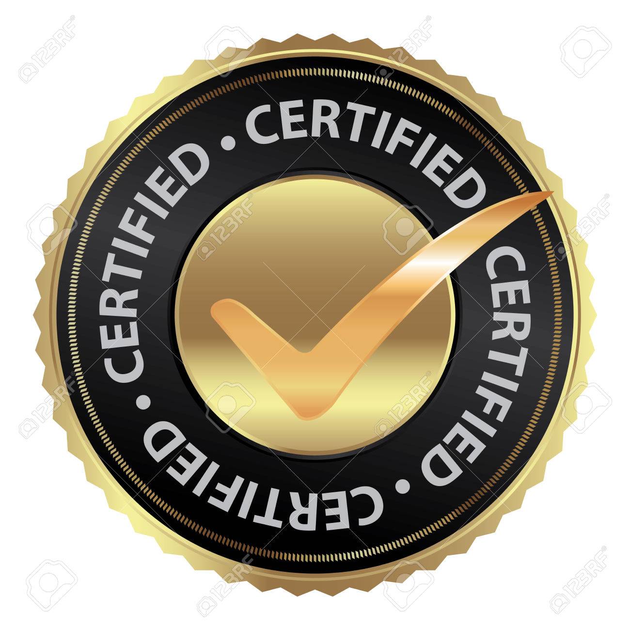 Certified professional web design services